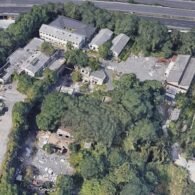 Blood Base / Base Sanguinolante