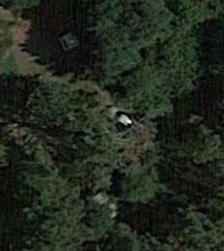 Car in the Woods / Voiture dans la Forêt