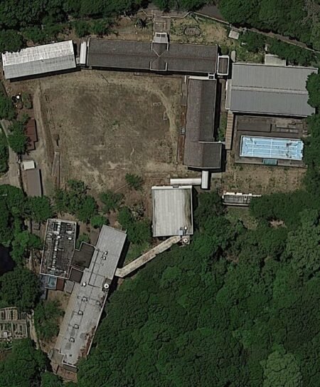 Children's School