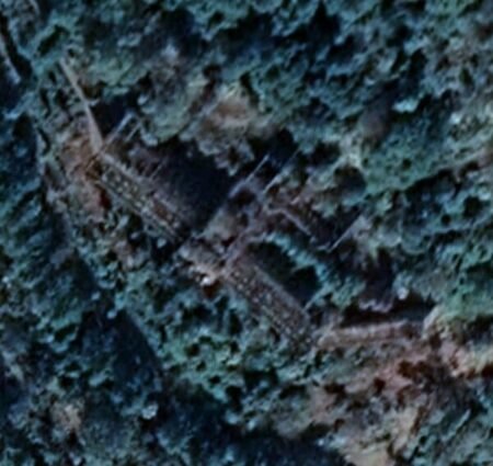 Forest Palace