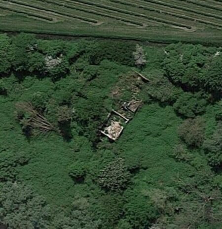 Grasshopper Farm