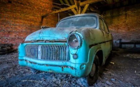 Mint Car / Voiture à la Menthe