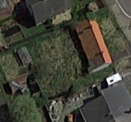 The Green House / La Maison Verte