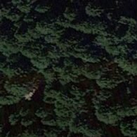 Crashed plane / Avion écrasé