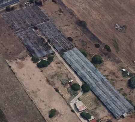 Greenhouses Aurelia