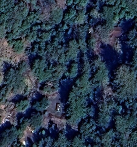 Creek boy scout camp