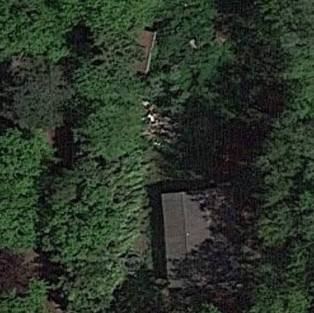 The lake chalet / Le chalet du lac